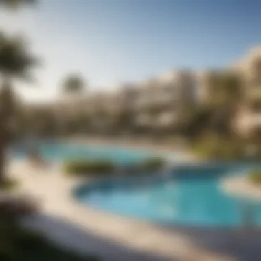 Community amenities such as a pool and park in Damac Hills